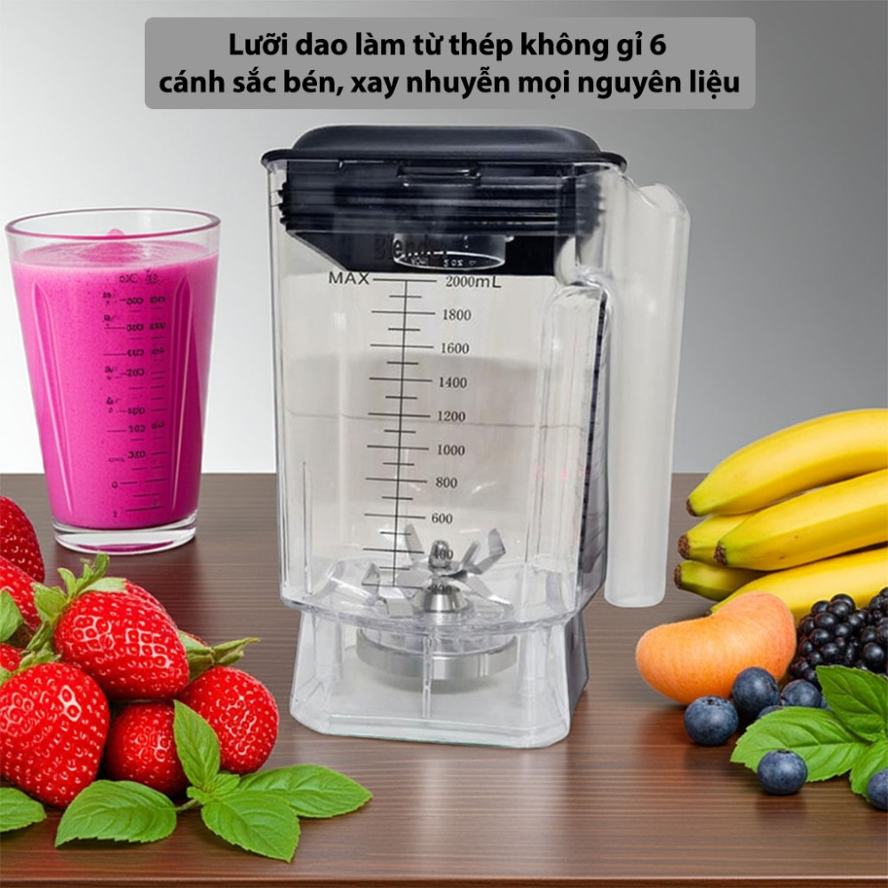 Cối máy xay sinh tố công nghiệp Promix C-9003 - Hàng chính hãng