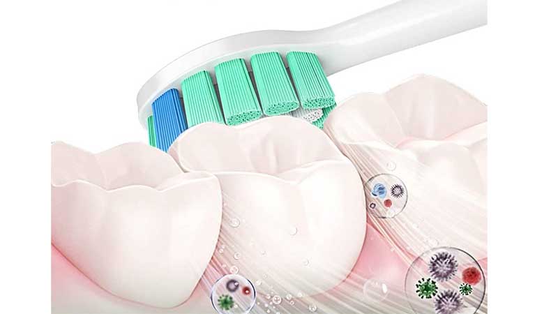 Đầu bàn chải điện C2 Philips HX9024/67 - Hàng chính hãng