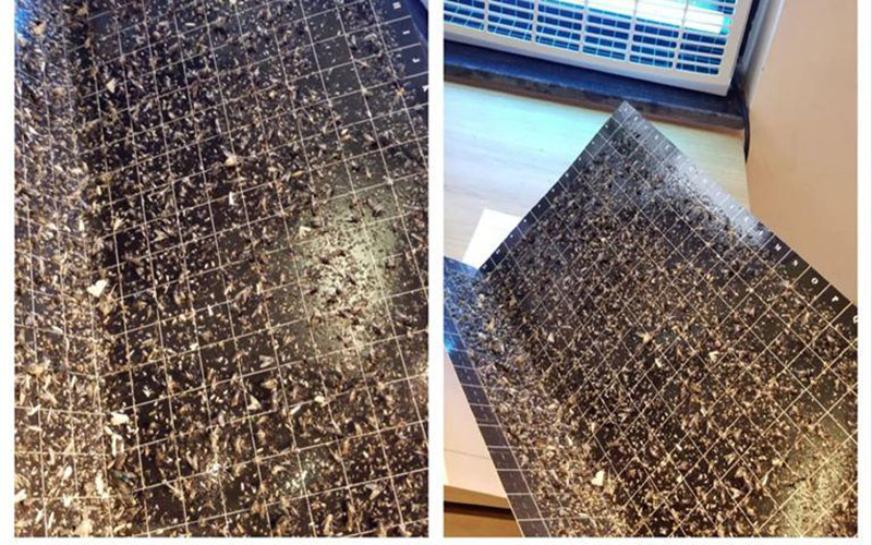 Tấm keo dính côn trùng của Đèn diệt côn trùng Đại Sinh DS-D152G