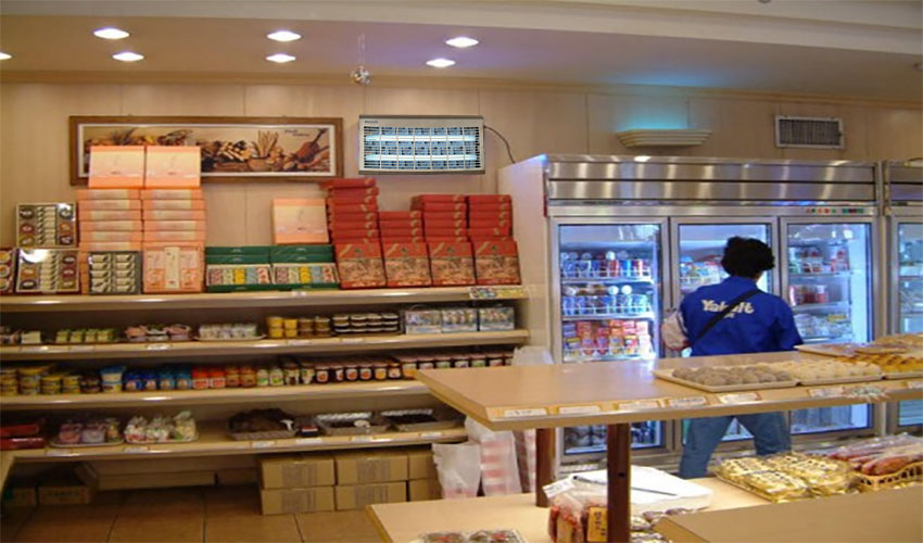 Đèn diệt côn trùng Đại Sinh DS–D152GI - Hàng chính hãng