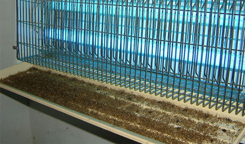 Đèn diệt côn trùng Đại Sinh DS-D202 - Hàng chính hãng