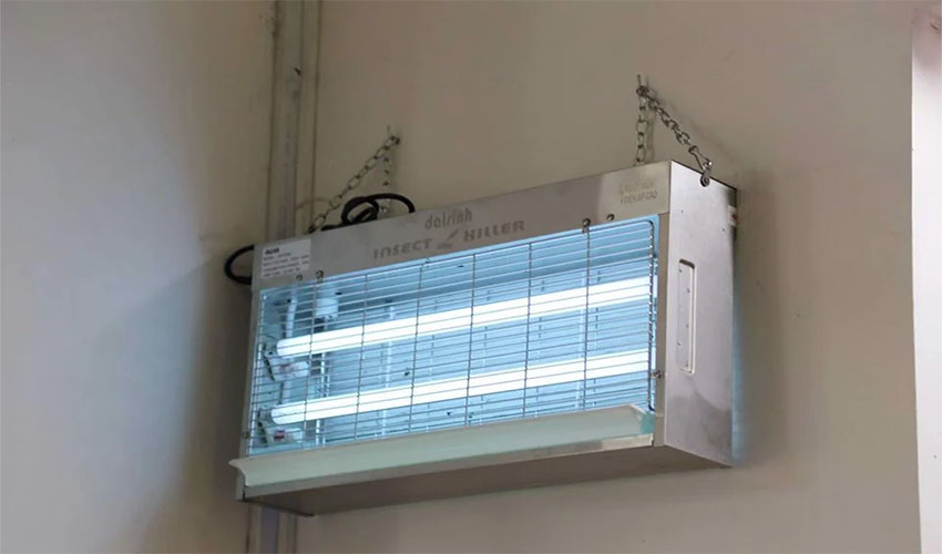 Đèn diệt côn trùng Đại Sinh DS-D202 - Hàng chính hãng