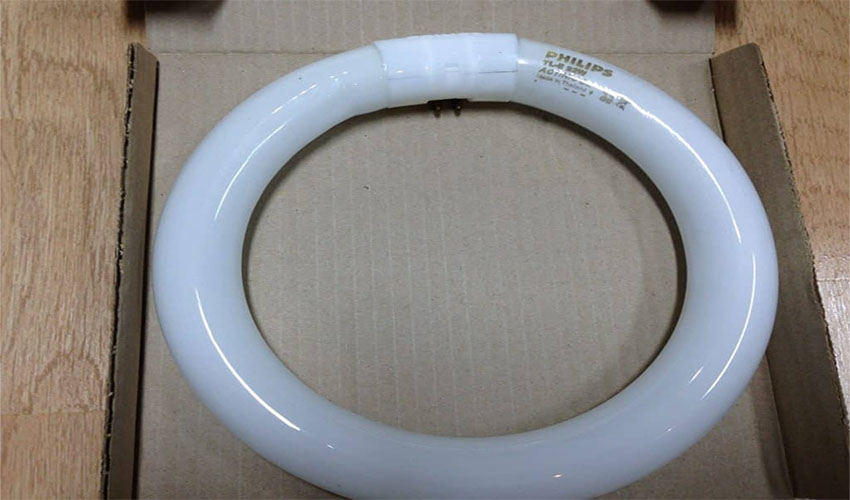 Đèn diệt côn trùng Đại Sinh DS-D22 - Hàng chính hãng