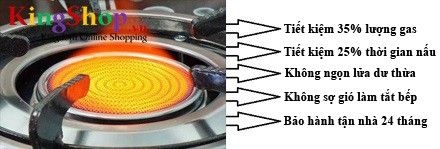 Bếp gas hồng ngoại đơn Bewinr BW-2013HN - Hàng chính hãng