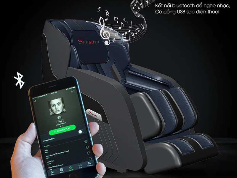 Ghế massage toàn thân Hasuta HMC820 - Hàng chính hãng