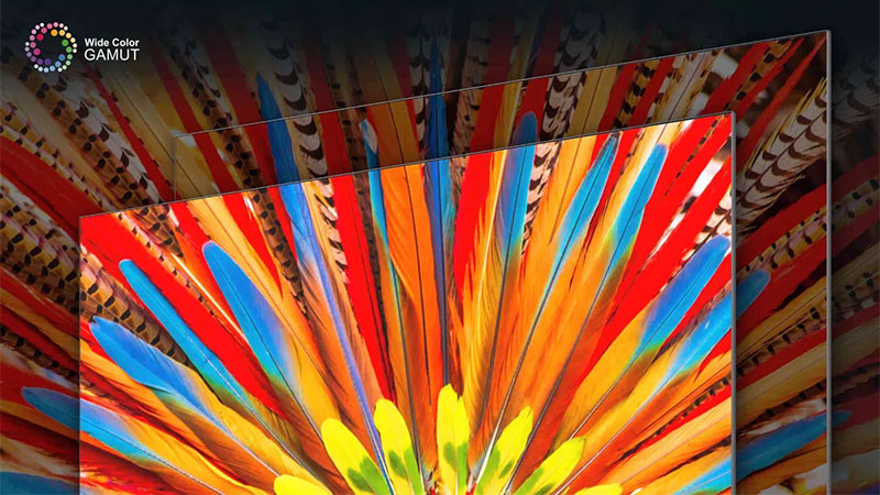 Google Tivi TCL 4K 65 inch 65P745 - Hàng chính hãng