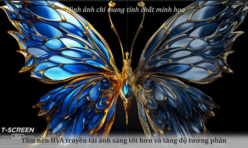 Google Tivi QLED TCL 4K 75 inch 75C655 - Hàng chính hãng