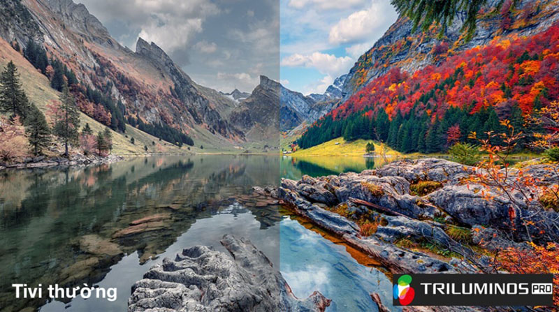 Google tivi Sony 4K 85 inch K-85S30 - Hàng chính hãng