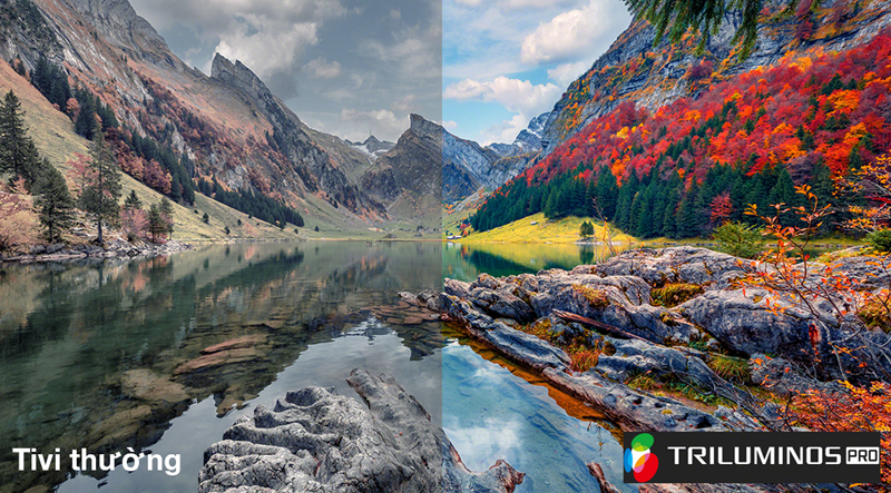 Google Tivi Sony 4K 85 inch KD-85X80L - Hàng chính hãng