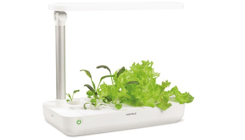 Chát liệu của hộp trồng cây thông minh Hafele BM-T001WH 539.76.980