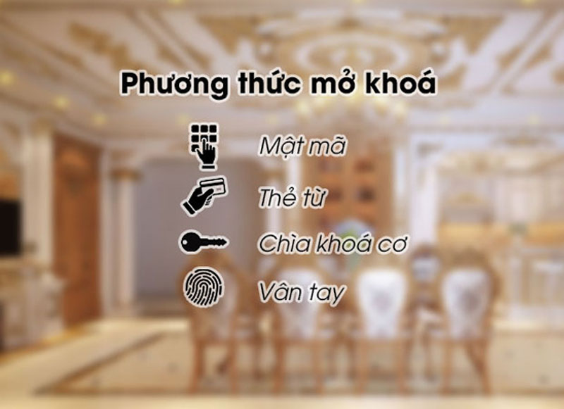 Khóa cửa thông minh Kassler KL-919 APP - Hàng chính hãng