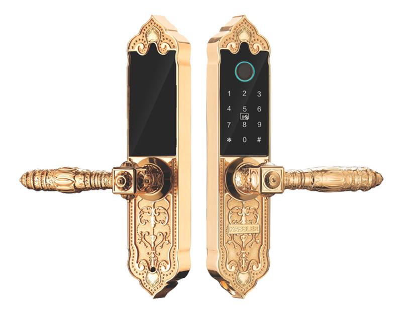 Khóa cửa thông minh Kassler KL-919 APP - Hàng chính hãng