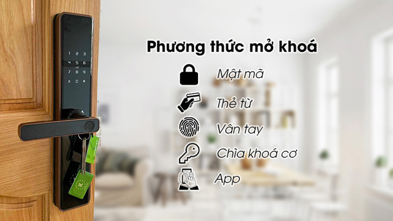 Khóa điện tử Kassler KL-669 BLACK - Hàng chính hãng