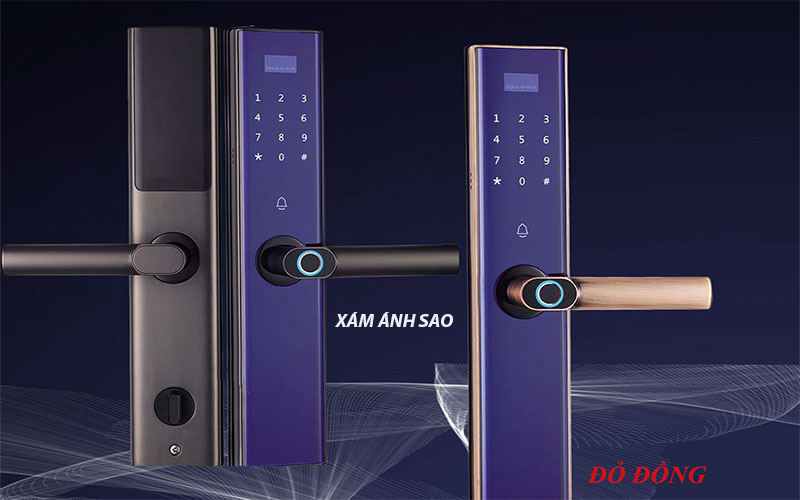 Khóa điện tử Demax SL650