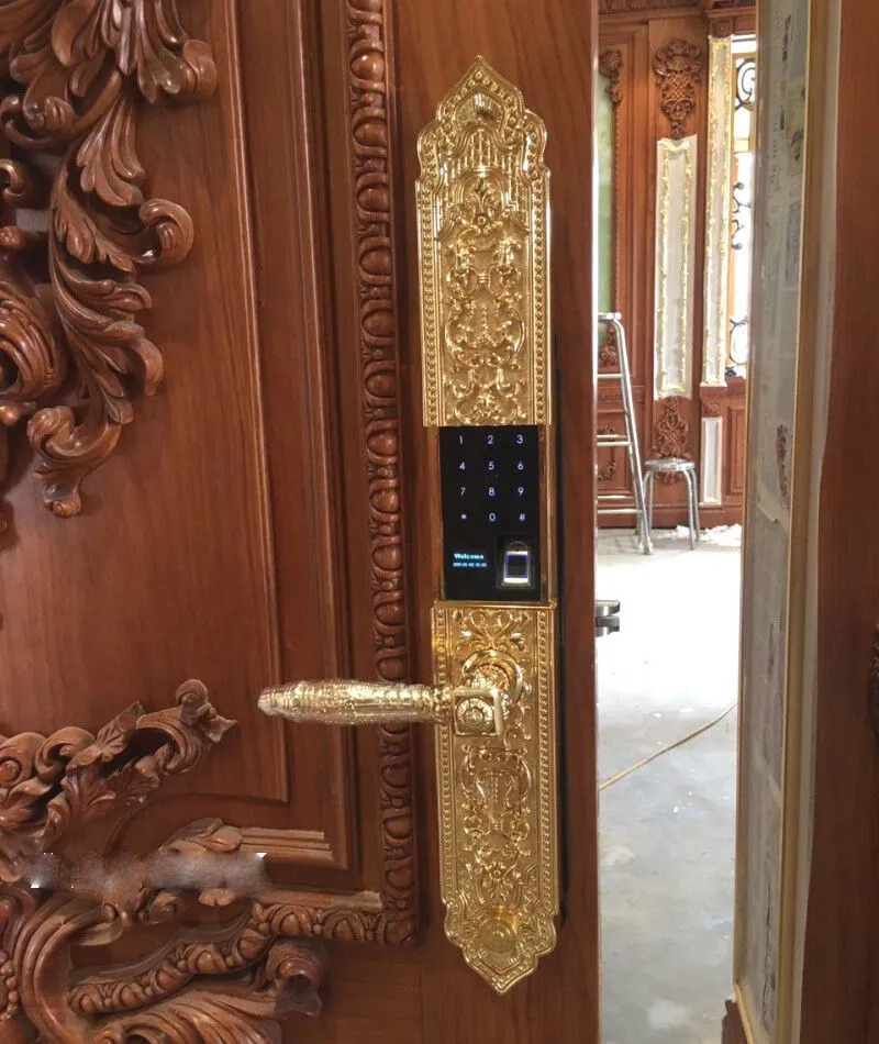 Khóa vân tay đại sảnh Kassler KL-929 APP - Hàng chính hãng