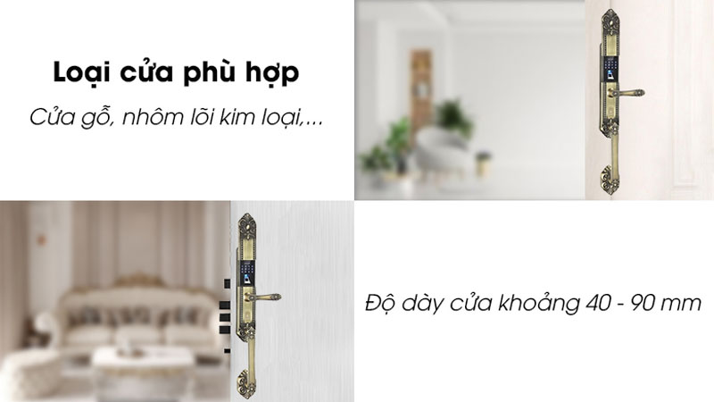 Khóa cửa vân tay đại sảnh Kassler KL-979G - Hàng chính hãng