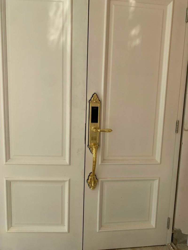 Khóa điện tử vân tay Kassler KL-969G - Hàng chính hãng