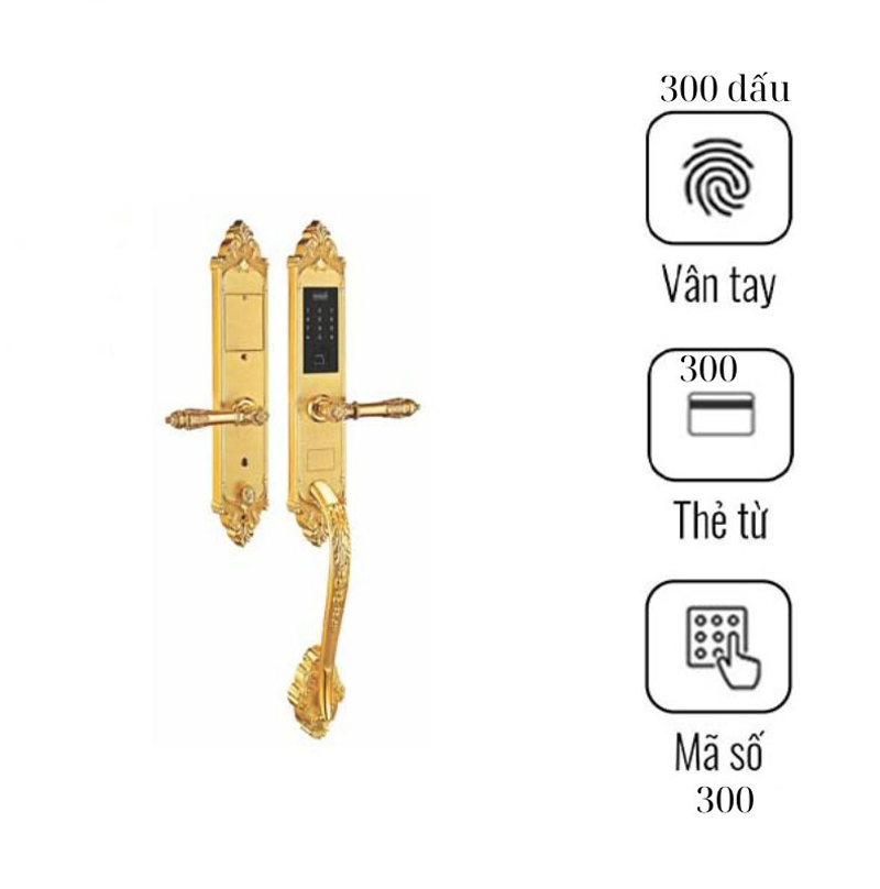 Khóa điện tử vân tay Kassler KL-969G - Hàng chính hãng