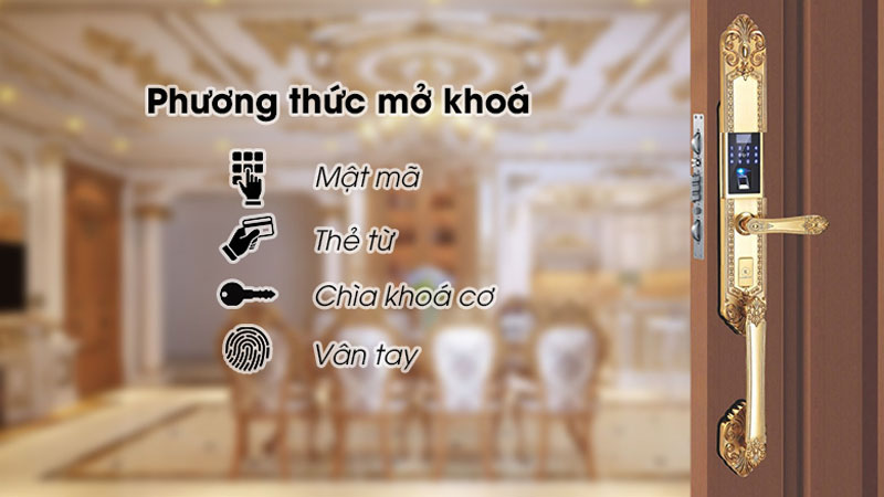 Khóa cửa đại sảnh vân tay Kassler KL-979GR - Hàng chính hãng