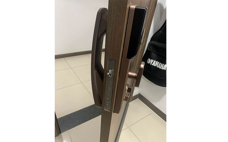 Khóa vân tay nhận diện khuôn mặt Face ID Kassler KL-878F APP - Hàng chính hãng