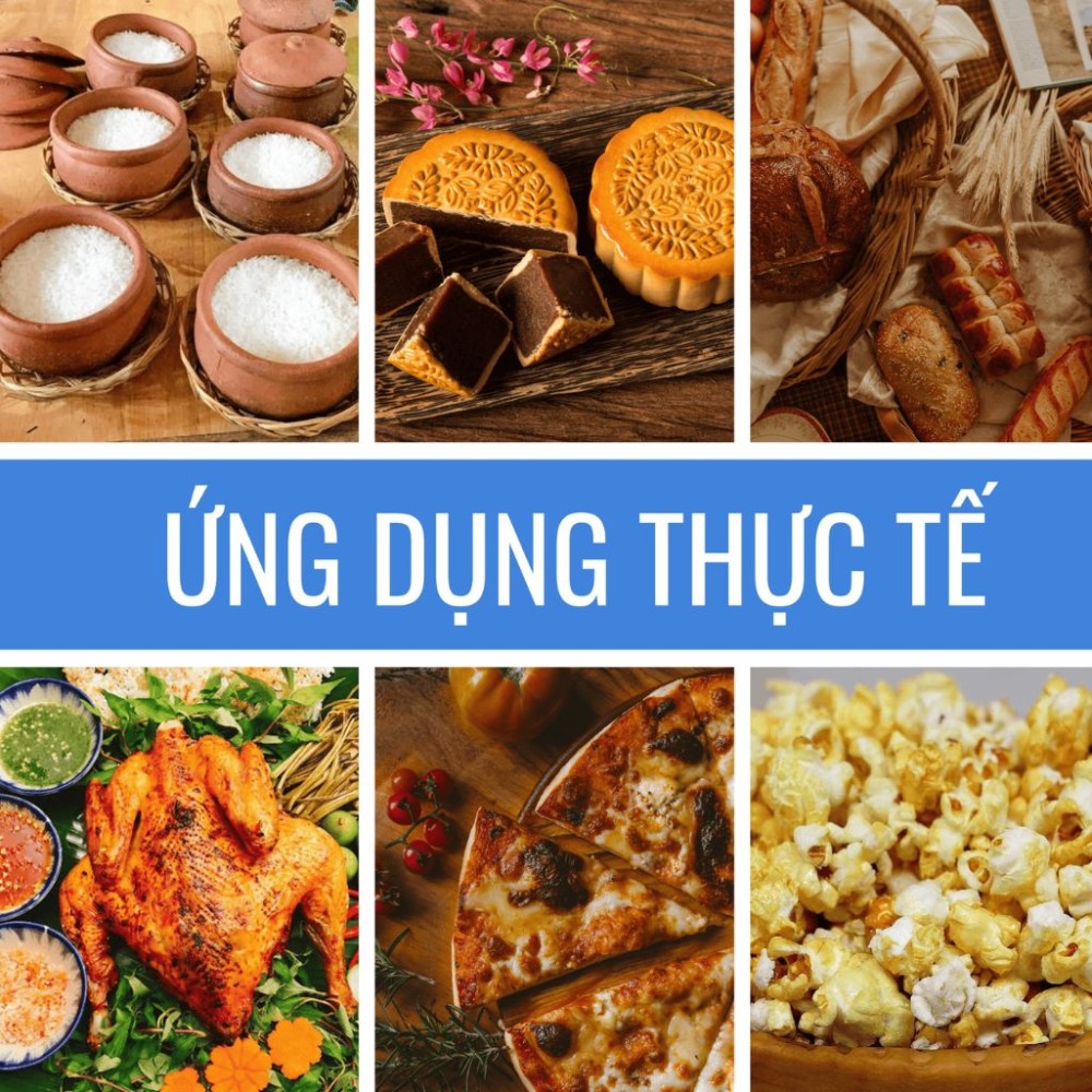 Lò nướng dùng gas 1 tầng 2 khay Southstar YXY-20A - Hàng chính hãng