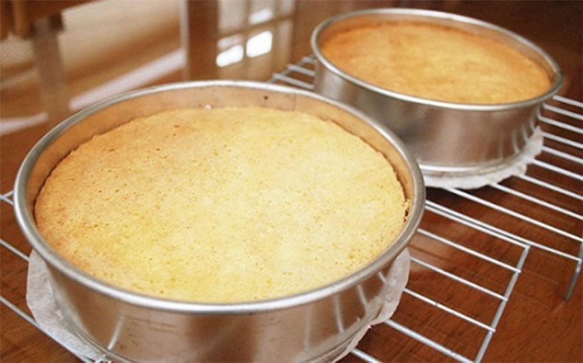 Lò nướng gas 1 tầng Berjaya BJY-G30-1BD - Hàng chính hãng