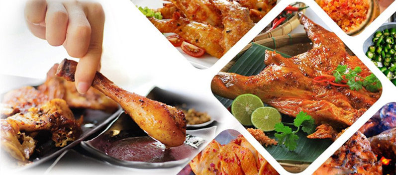 Lò nướng thùng Osaka TO-25LB - Hàng chính hãng