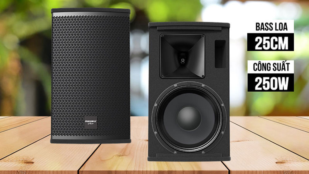 Loa Paramax Pro-S25 - Hàng chính hãng