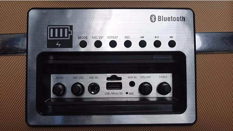 Loa kéo di động SoundMax M-6 - Hàng chính hãng