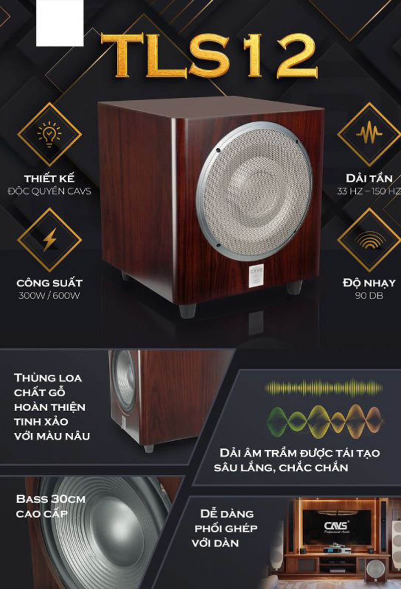 Loa Subwoofer Cavs TLS12 - Hàng chính hãng