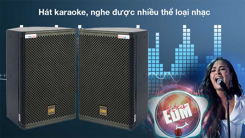 Loa đồng trục CAVS CM12