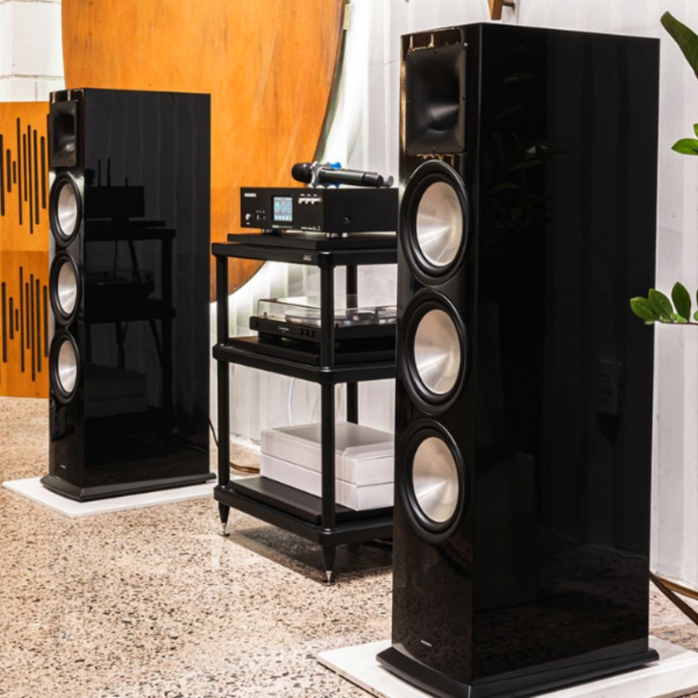 Loa đứng Paramax EURO 803 Special Edition - Hàng chính hãng