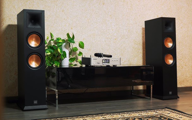 Loa đứng Paramax EURO 8 Classic - Hàng chính hãng