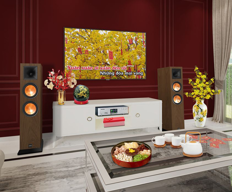 Loa đứng Paramax EURO 8 Classic - Hàng chính hãng