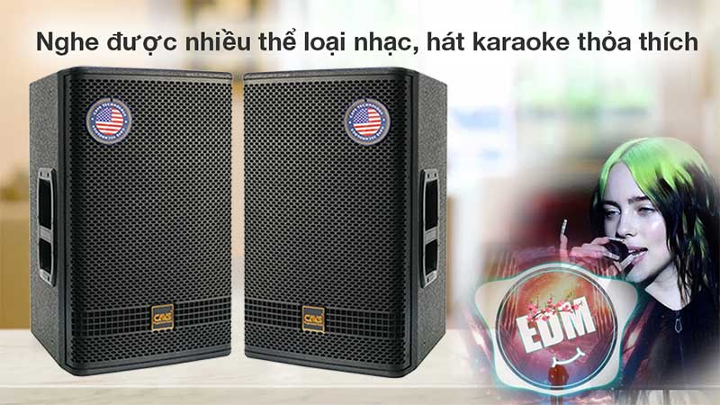 Ứng dụng của Loa full CAVS LP12 Limited Edition