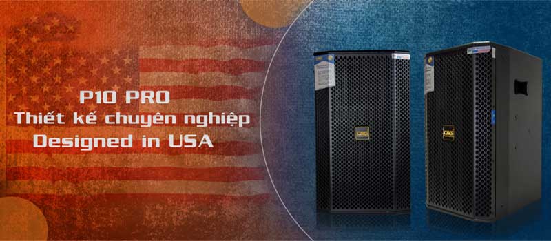 Thiết kế của Loa full CAVS P10 PRO