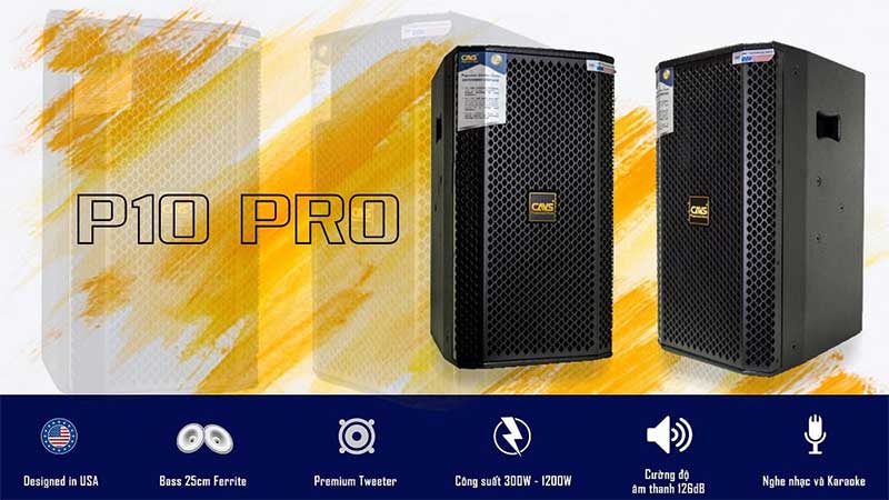 Loa full CAVS P10 PRO