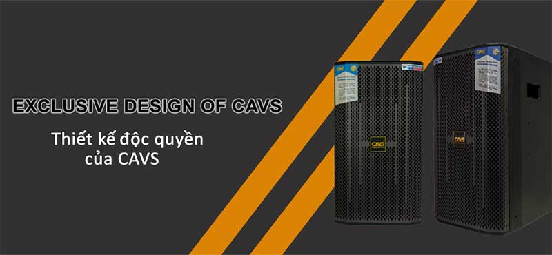 Thiết kế của Loa full CAVS XB10