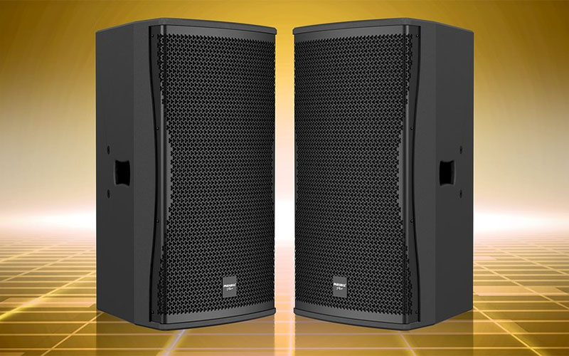 Loa fullrange Paramax PRO-Z30