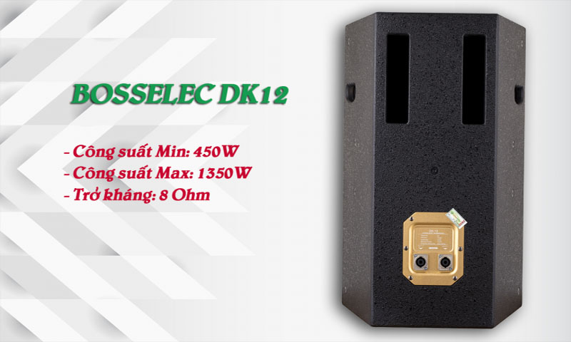 Loa fullranger VinaKTV BossElec DK12