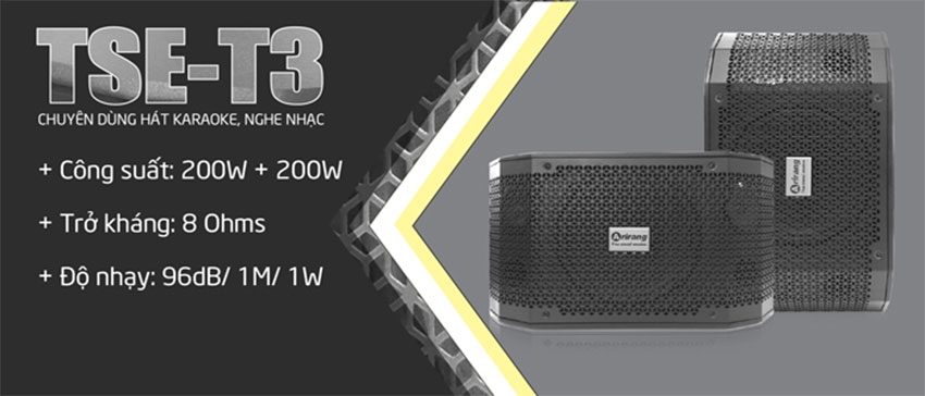 Chi tiết của loa karaoke Arirang TSE-T3