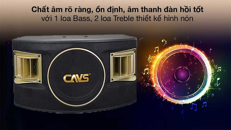 Hệ thống loa của Loa karaoke CAVS 530SE