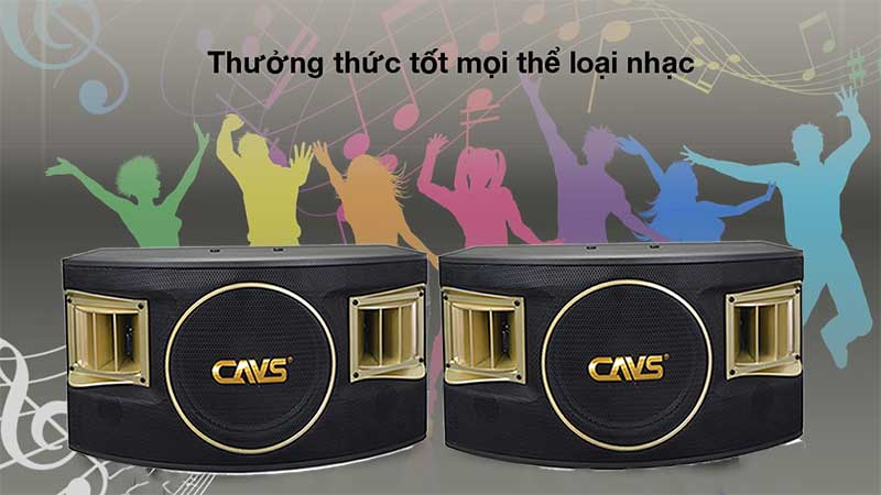 Ứng dụng của Loa karaoke CAVS 530SE