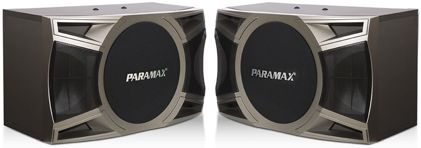 Loa karaoke Paramax D-2000 - Hàng chính hãng