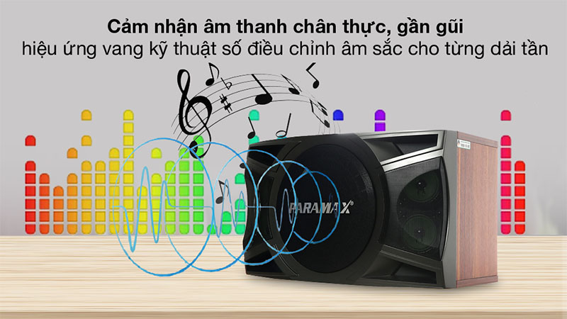 Loa karaoke Paramax LX-1200 - Hàng chính hãng