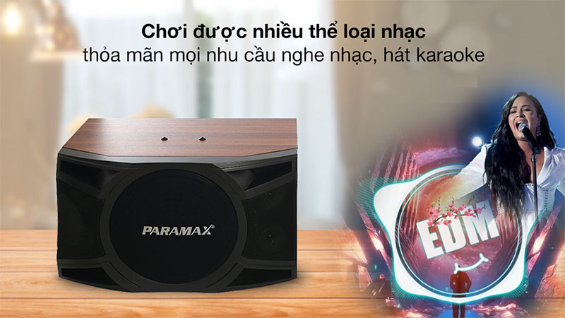 Loa karaoke Paramax LX-1800 - Hàng chính hãng