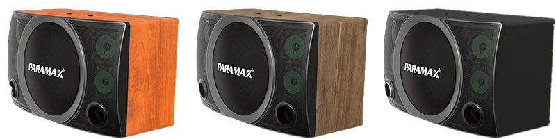 Loa karaoke Paramax SC-2500