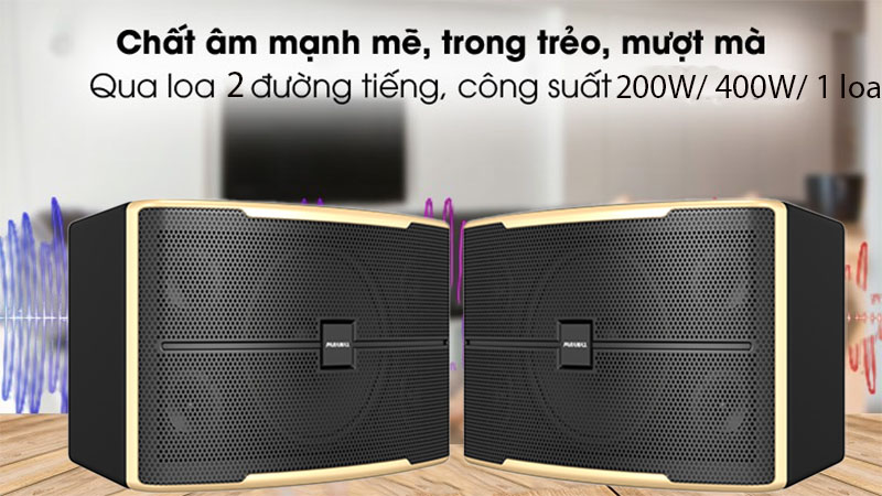 Loa karaoke Paramax Z-1500 - Hàng chính hãng