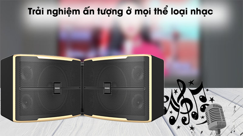 Loa karaoke Paramax Z-1500 - Hàng chính hãng