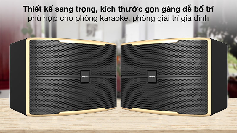 Loa karaoke Paramax Z-2500 - Hàng chính hãng